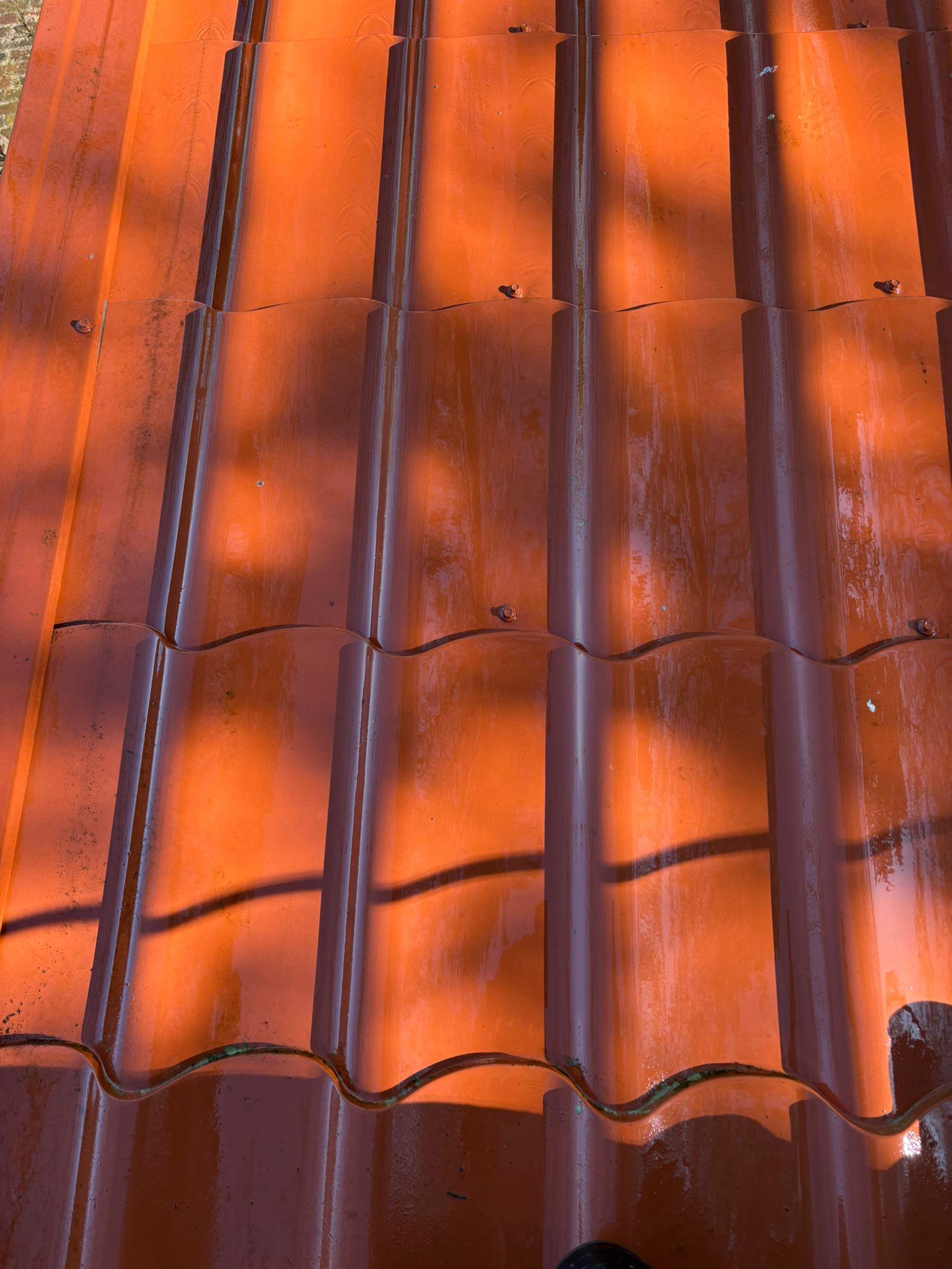 Dakpannen na reiniging — close-up schoon resultaat